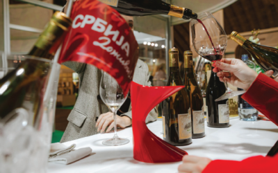 Five Pillars of Wine Vision by Open Balkan (November 22-24, 2024)